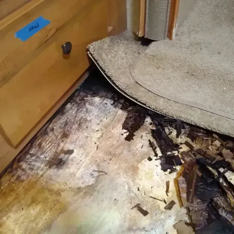 Wood Floor Water Damage in North Hollywood, CA